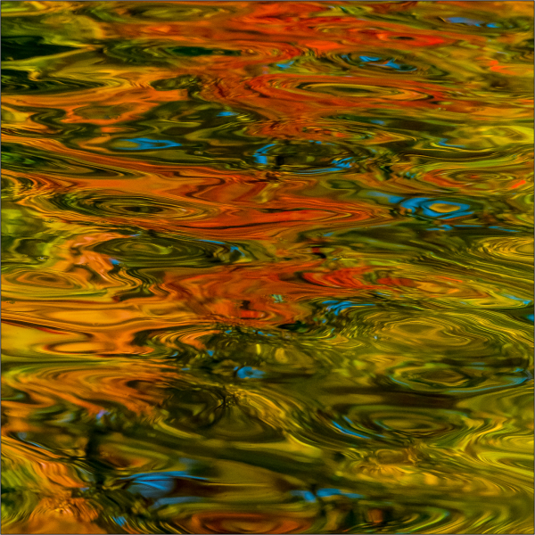 'Reflections of Autumn' by Eric Ladbury, Long Eaton u3a